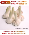 和歌山県産 生にんにく 500g（沖縄・北海道への配送不可）　