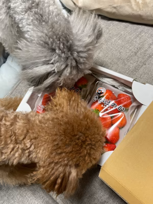 みんなの投稿の画像