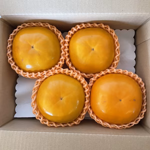 極上果汁！紀州てまり(柿) 家庭用サイズ混合(2L以上) 4玉入り