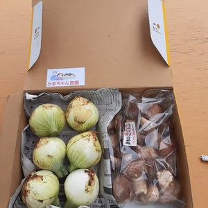 「新玉ねぎと芽欠き椎茸のセット」❣2セット限り‼