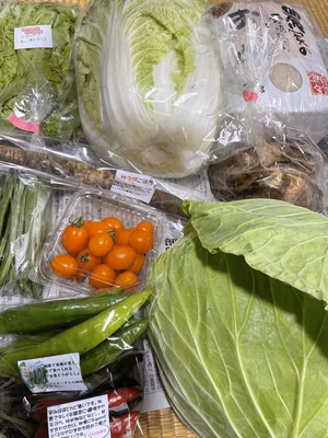 みんなの投稿の画像