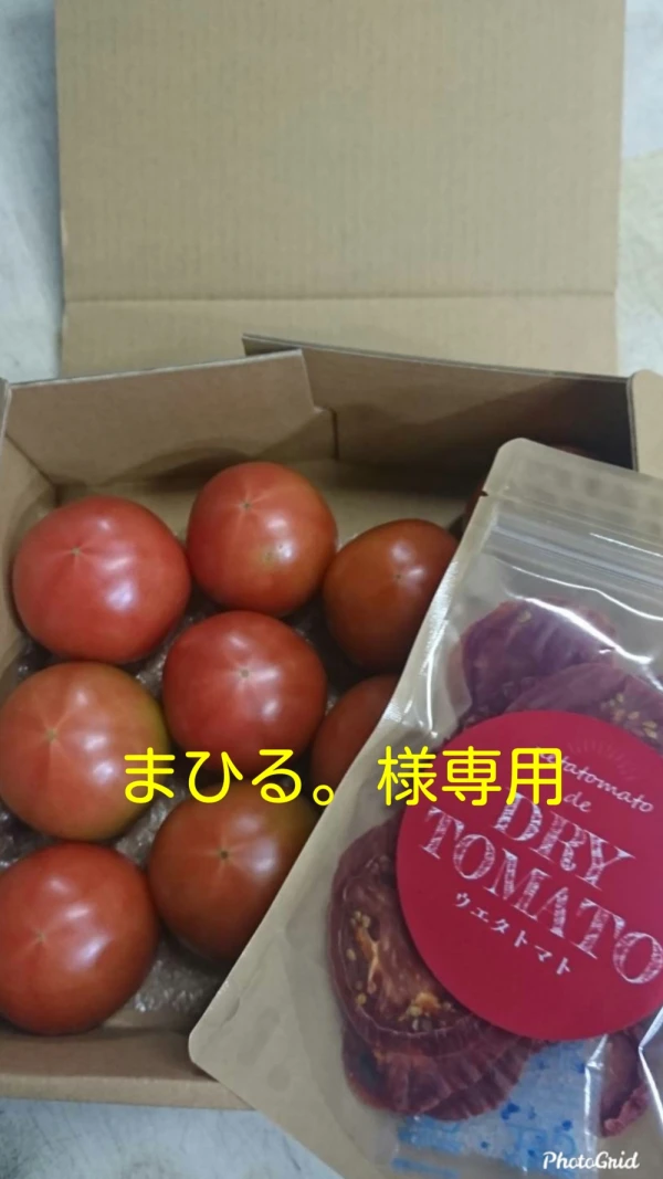ウエタトマト de ドライトマト&トマトの食べ比べセット(まひる。様専用)