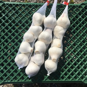 【1日3セットまで！】ゆらの生にんにく M玉 