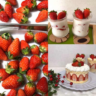 みんなの投稿の画像