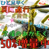 【ひと足はやく　夏に直行セール】 宗像のあかもく５０％増量　