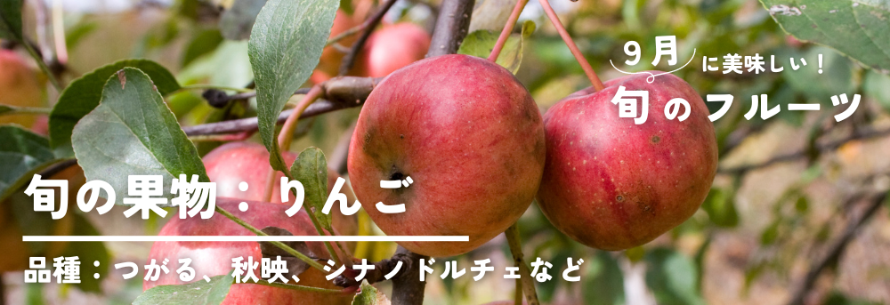 9月に旬の果物フルーツ 林檎りんご つがる、シナノドルチェなど