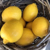 【完熟！国産レモン】ワックス、防腐剤は使用していません。