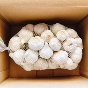 【中玉】はじめてのにんにく 1kg（農薬・除草剤不使用・佐賀県鳥栖産）