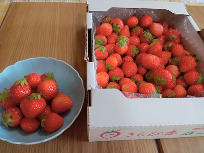 みんなの投稿の画像