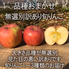 旬のおまかせ！ 無選別 訳あり りんご 約5キロ 12-25玉 1~3種類