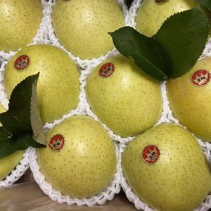 王林【青りんごの王様！】最高級　3キロ