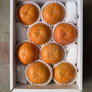 　【送料無料】富有柿　秀品　