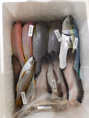 みんなの投稿の画像