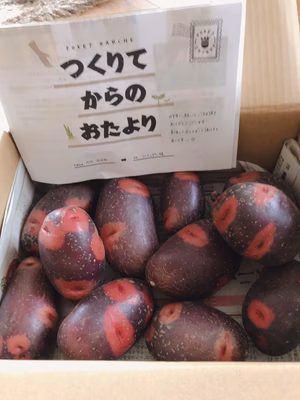 みんなの投稿の画像