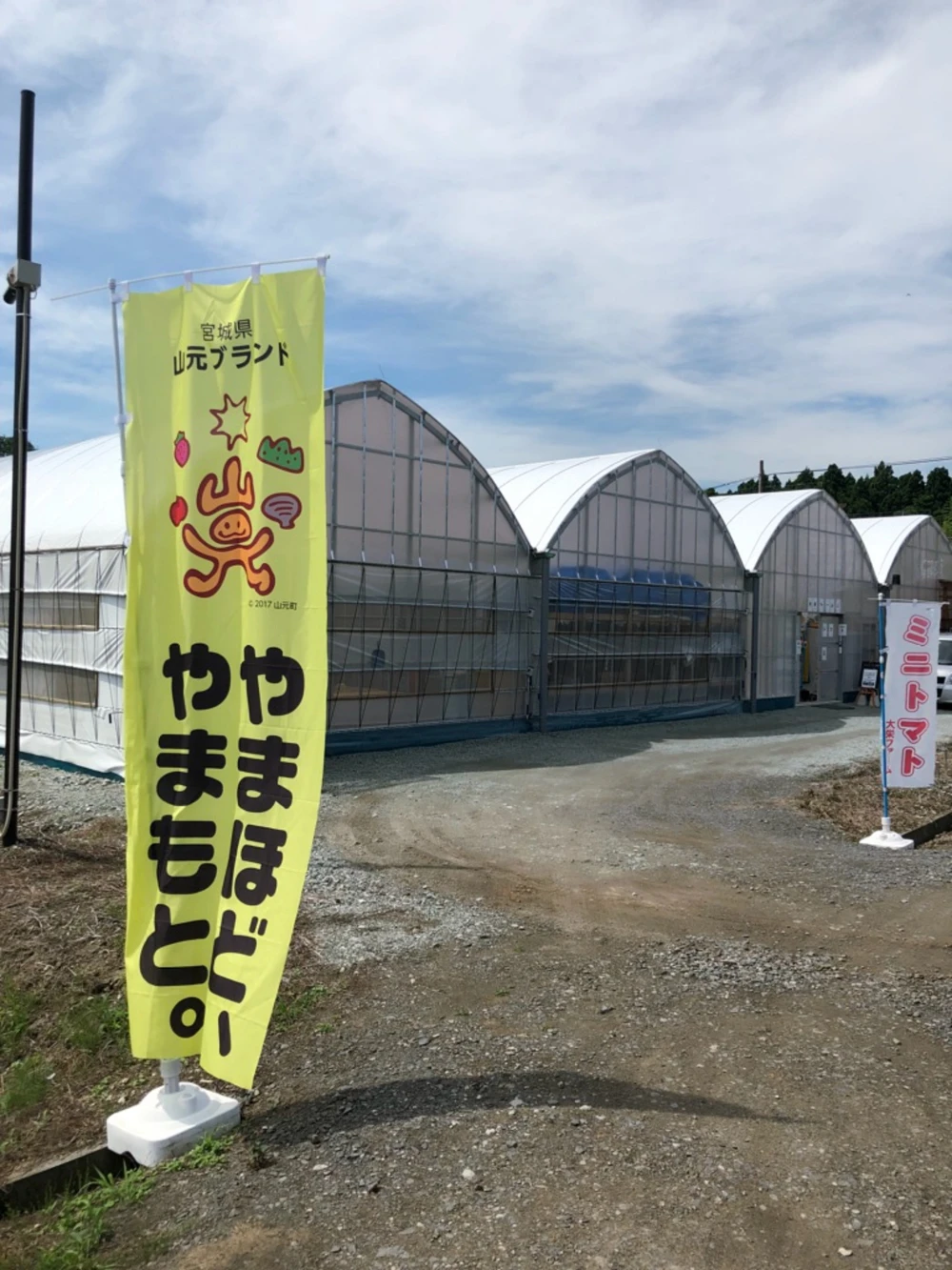 完熟冷凍！平均糖度10％のとてもあま～い『山のふ元のあまトマト（フルティカ）』