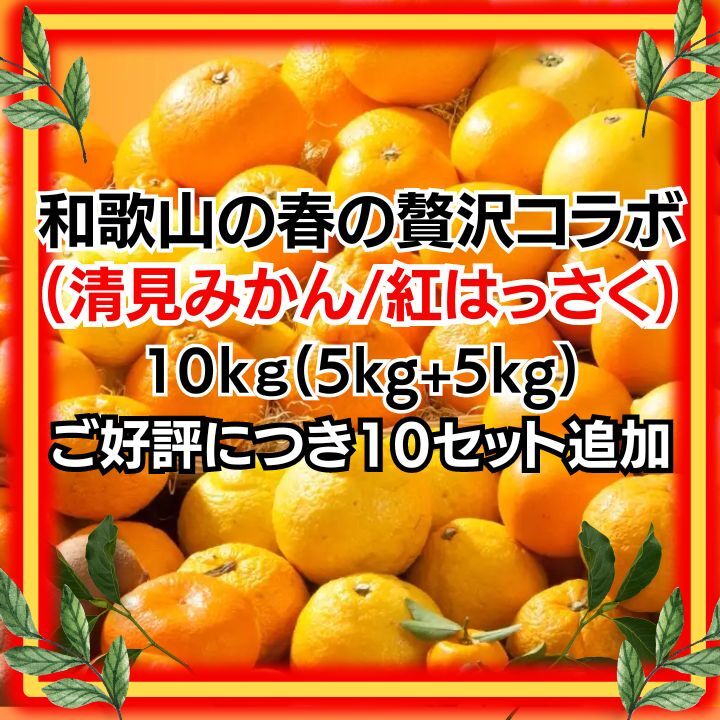 減農薬!濃い！甘い！きよみ 紅はっさく セット 八朔 10kg 和歌山 清見