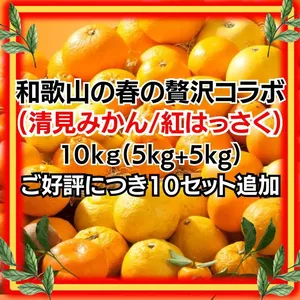 高糖度紅はっさく+和歌山の清見オレンジセット10kg 減農薬！濃い！甘い！紅八朔