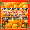 高糖度紅はっさく+和歌山の清見オレンジセット10kg 減農薬！濃い！甘い！紅八朔