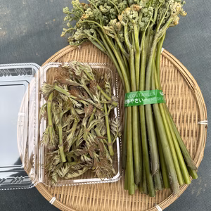 【山菜セット】わらび(300g)とタラの芽(100g)