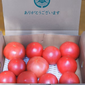 リピーターさま専用！霜降るトマト60サイズ箱