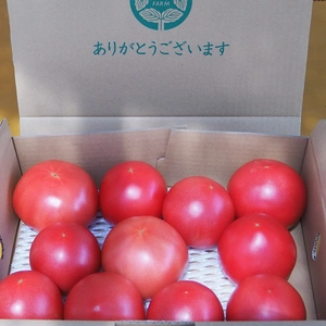 リピーターさま専用！霜降るトマト60サイズ箱
