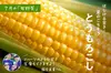 【第2週お届け】季節を味わう　旬のお野菜定期便