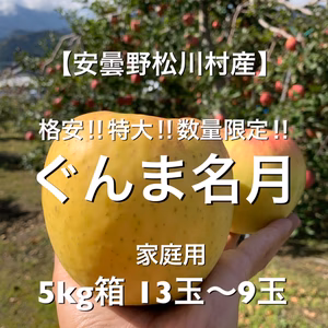 格安‼︎特大‼︎極甘‼︎安曇野松川村産【ぐんま名月】5kg家庭用