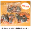 【限定10個】北オホーツク海「塩鮭あらセット」漁師直売