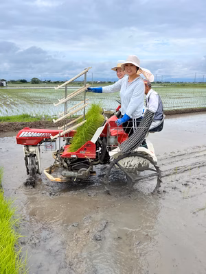みんなの投稿の画像