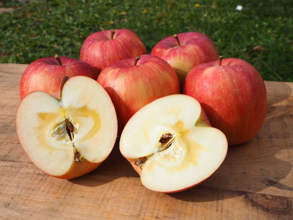 旨みMAX！葉とらずふじりんご　5kg