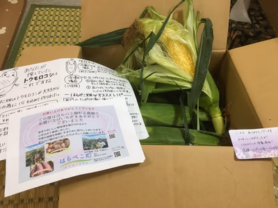 みんなの投稿の画像