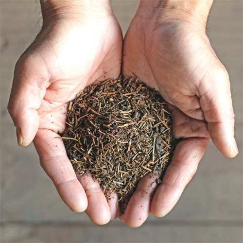 【セット⑧】沢山飲める！《徳用うれしの茶》と《ほうじ茶》ごくごくセット