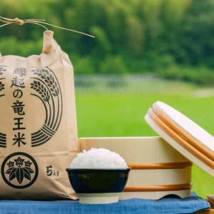 【令和5年産】特別栽培米　滋賀県産コシヒカリ 玄米　縁起の竜王米