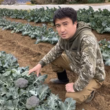 伊藤総司 | 菜菜彩