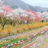 まあるいコンビ