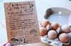 【HAPPY青たまご!!】淡路島でのびのび育った健康鶏のMIXたまご