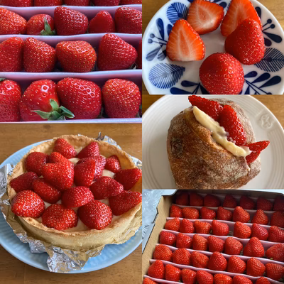 みんなの投稿の画像