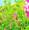 【お徳用!1.2kg】ザ！はちみつ♪オリジナルブレンド蜜/百花 2022年度産 