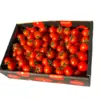 【塩トマトのようなフルーツトマト】ソムリエミニトマト　ダイヤ１kg
