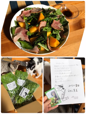 みんなの投稿の画像