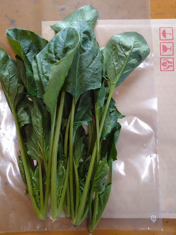 ほうれん草　有機　ネコポス