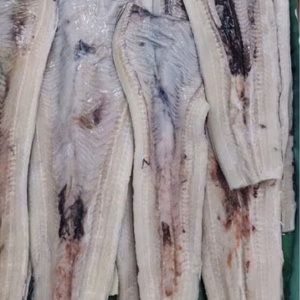 ハモ開き　1kg袋詰め　冷凍配送　宇和島豊後水道産　宇和島漁師直送