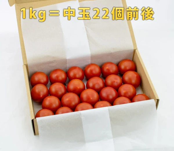 たっぷり1kg★コク旨ミディトマト『ぴちぴちトマト レッドオーレ』