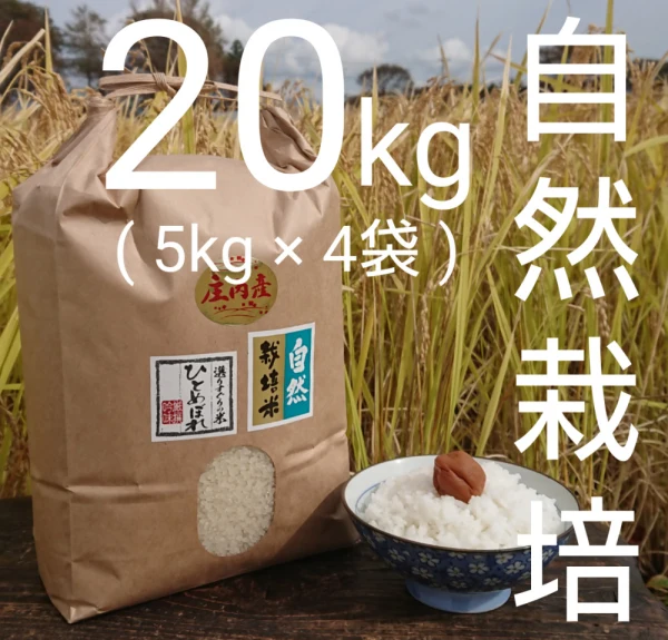 お米の旨味たっぷり自然栽培30年産「ひとめぼれ無洗米」20kg