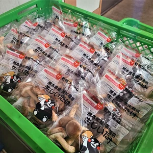 【送料無料クール便配送】熊本県産生椎茸（菌床栽培）100G（B品バラ袋×60個)