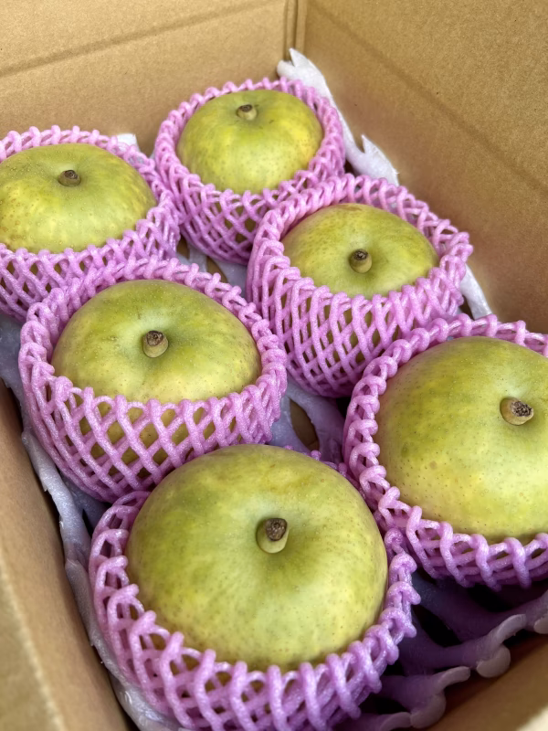 なつひめ梨　5kg