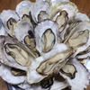 【生牡蠣】【生食用】S～Mサイズ 三重県産 殻付き 浦村かき