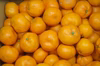 【農薬不使用】有田みかん　その２