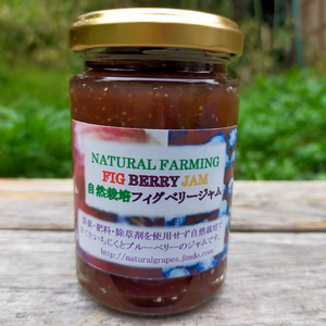 自然栽培フィグベリージャム