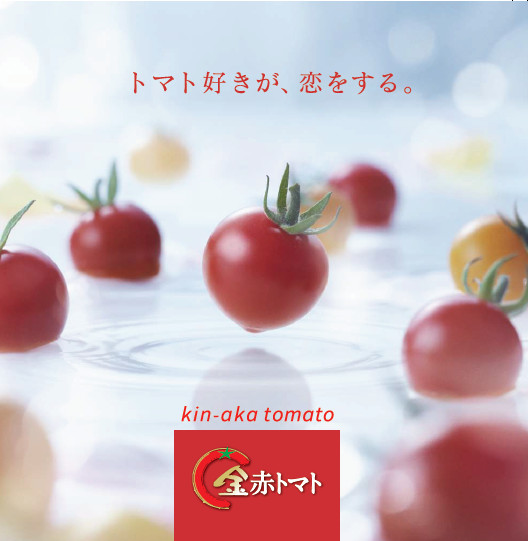 母の日ギフト ｸｰﾙ便 トマト好きが 恋をする 1000ｇ 金赤トマト 農家漁師から産地直送の通販 ポケットマルシェ